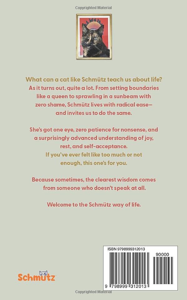 The Philosophy of Schmütz — Paperback