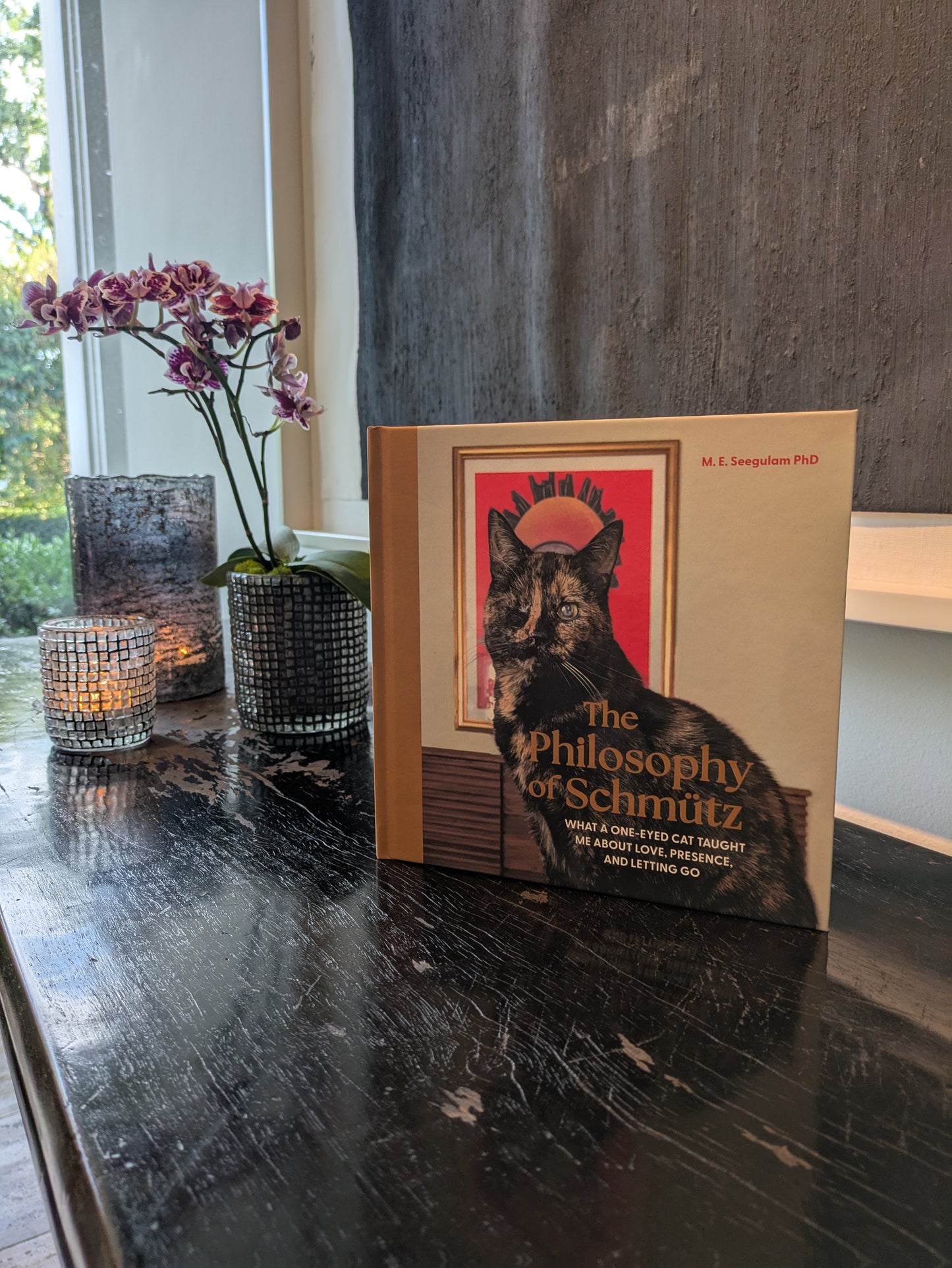 Book titled 'The Philosophy of Schmütz' on a dark surface with decorative elements.