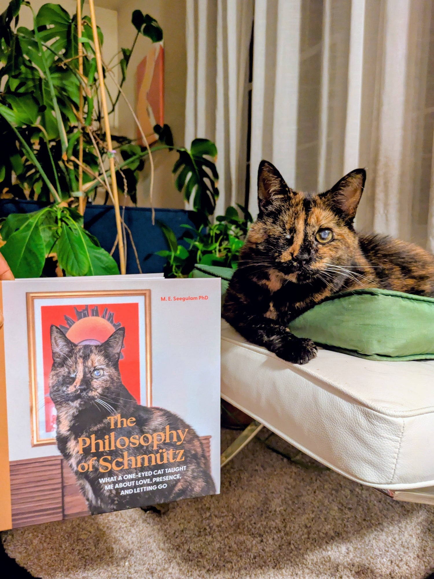 Gifts for Cat Lovers