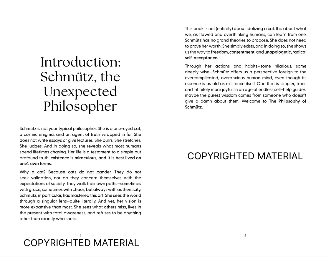 The Philosophy of Schmütz — Paperback