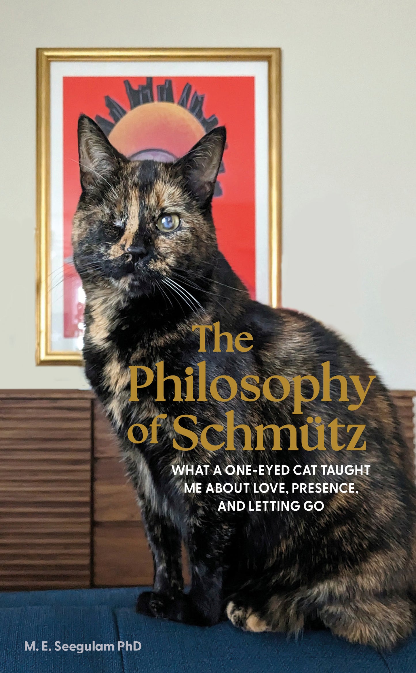 The Philosophy of Schmütz – Paperback & Kindle