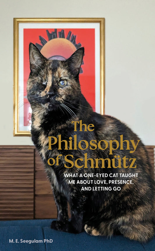 The Philosophy of Schmütz – Paperback & Kindle